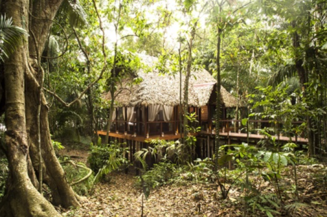 Inkaterra Reserva Amazónica