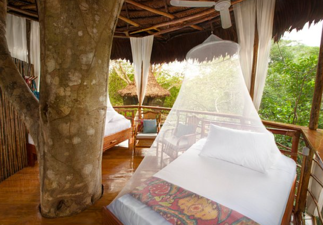 Treehouse Lodge interior