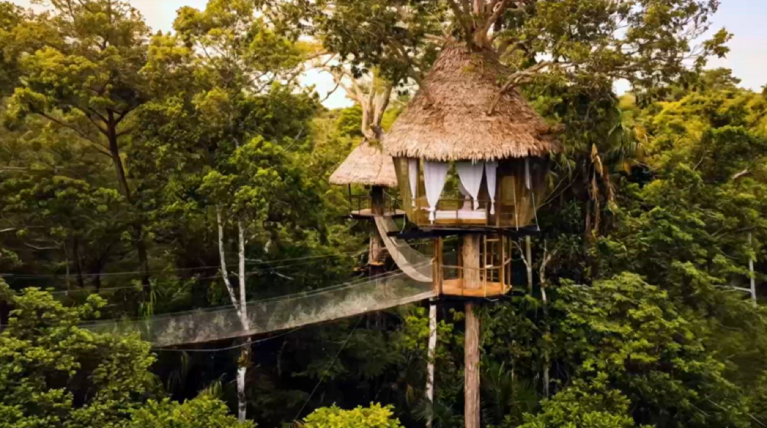 Treehouse Lodge