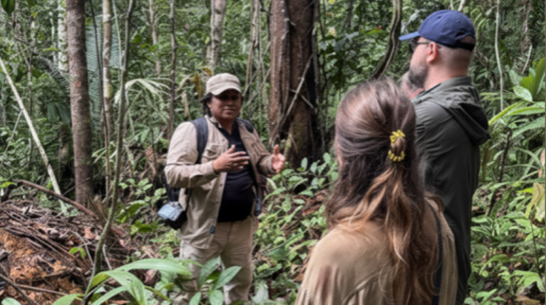 Amazon Intelligence Briefing
