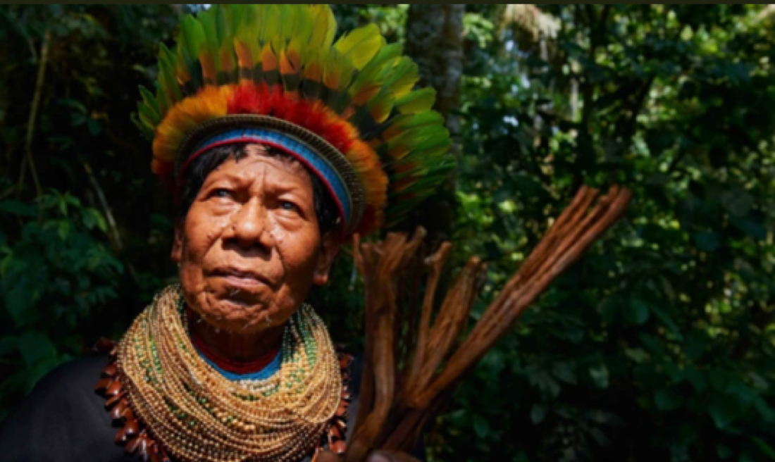 Shamanic & Plant Medicine