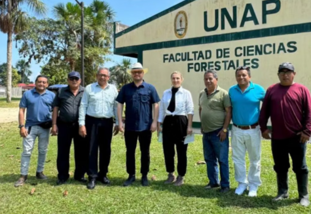 UNAP — Faculty of Forest Sciences